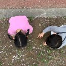 노작공원(오산천변) 이미지