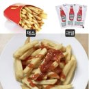 샐러드베어 이미지