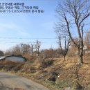 서구-01-19 네이버블로그
