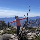 Mt. Islip Via Windy Gap Trail 03-14-2026 이미지