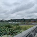 브이엠건축사사무소 | 전주 연화정도서관(태권브이) 후기
