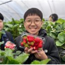 즐거운 태권도 아카데미 이미지