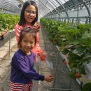 강호농장 이미지