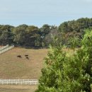 원당공원 | 한국마사회 원당목장, 고양 아기랑 방문 시 주차, 돗자리 팁!