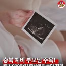 충청북도충주교육지원청사 | [충북 출산육아수당] 총 1,000만 원 지원! 신청 대상부터 연도별 지급 금액까지 완벽 정리