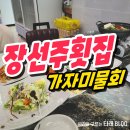 장선주횟집 | 포항 장선주횟집 장성동 참가자미물회 맛집 솔직후기