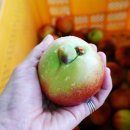 열린농장 이미지