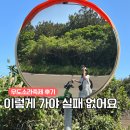 소라 | 우도전기차 타고 다녀온 우도소라축제 후기 (+꿀팁까지)