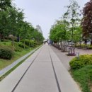 포항철길숲 이미지