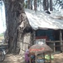 마리나비치 이미지