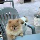 쏭이네마트 이미지