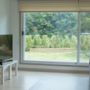 도그엔조이 이미지