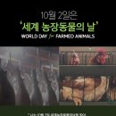 단식농장 이미지