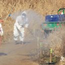 병성농장 이미지