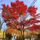 동화사(용수동) | 대구 팔공산 단풍 드라이브 코스 동화사 사진스팟