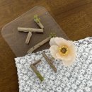 그루 | 깔끔한 백일상 대여 아기 백일 셀프 촬영 온아데이 그루 내돈내산 후기