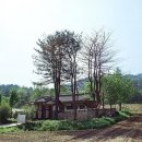 [그리운 선조] 2. 면암 최익현(勉菴 崔益鉉)