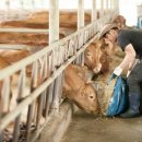 현재축산 이미지