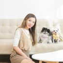 25세 동물병원 이미지