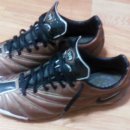 등촌2동260 이미지