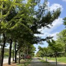 안산 화랑유원지 추어탕 솔직후기