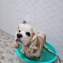 중문햇빛펜션
