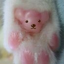 펫페이지 이미지