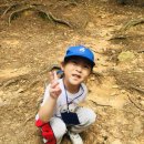 은하수숲유치원 이미지