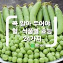 1.매섭고 훌륭한 大韓民國 2.手帖에 적어놔야 할 삶의 智慧 28 이미지