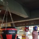 신나라헬스 네이버블로그