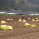 봉성농장 이미지