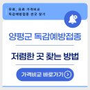 참내과의원 | 25년 양평군 독감예방접종 저렴한 곳 및 무료 병원