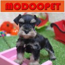 모두와샵 이미지