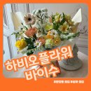 송파 문정동 꽃집 하비오플라워바이수 꽃다발 후기