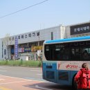 진해대신서점 이미지