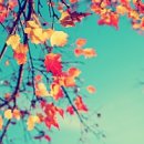 사랑샘공원 | 압구정에서 만난 샘킴 셰프의 이탈리안 레스토랑, 뜨라또리야!샘킴