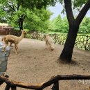 박대성농장 이미지