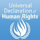 12월 10일은 세계인권선언일입니다(인권선언의 유래및 의미) 이미지