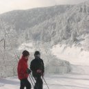 자연동산 이미지