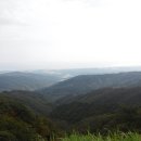 시중 목장 이미지