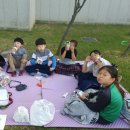 한양대 충효예태권도 이미지