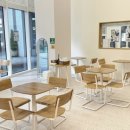 캣플헤븐 AK플라자금정점 이미지