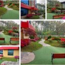 중부대로 681번길 이미지