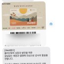 씨제이올리브영(주)종로점 | ⭐️올리브영 알바의 모든 것⭐️(면접 후기와 Tip, 복지, 하는 일, 장단점까지 총정리)