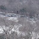 오늘제주 이미지