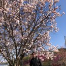 카페덕산 이미지