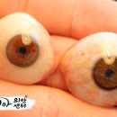 코리아의안센터 이미지