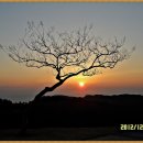 백일홍동산 이미지