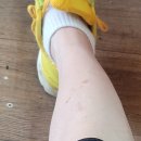 장원골프연습장 이미지