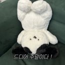 새서울사진관